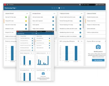 Miniatura Infor ERP