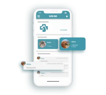 Miniatura Wakyma Vets