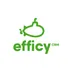 Efficy CRM