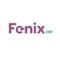 Fenix ERP