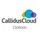 CallidusCloud Clicktools