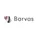 Barvas Gestión de Proyectos