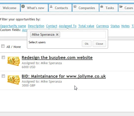 Clevertim CRM