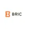 Bric Gestión de Proyectos