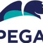 Pega Platform logotipo