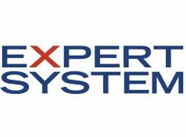 Expert System Empresarial Espana
