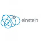 Einstein Analytics logotipo