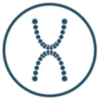 XDental logotipo