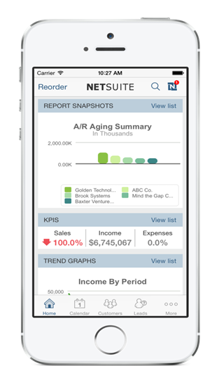 NetSuite ERP