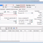 Laudus ERP 3